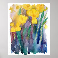 California Poppy Flowers Orange Wildflower