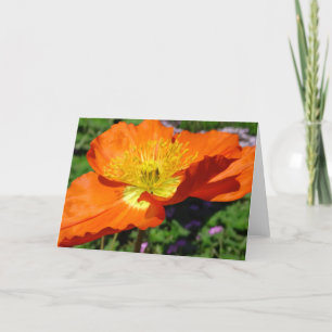 California Poppy Greeting Card