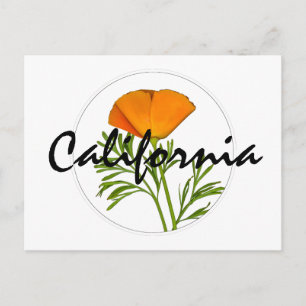 California Poppy in a Circle, "California" Text Postcard