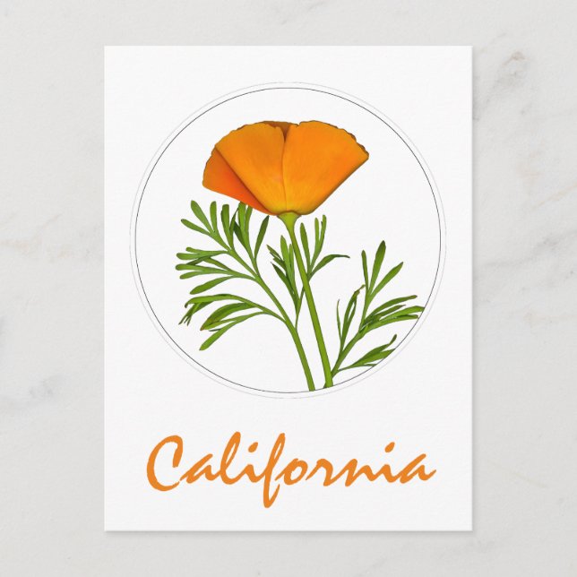 California Poppy in a Circle, "California" Text Postcard (Front)