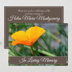 California Poppy Memorial Service Announcement