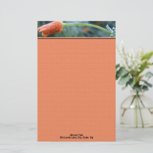 California Poppy Morning Frost Photo Personalized Stationery