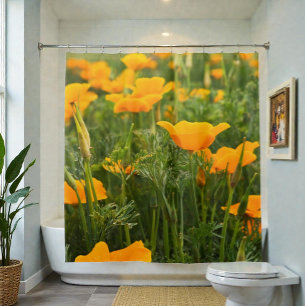 California Poppy Patch Photograph