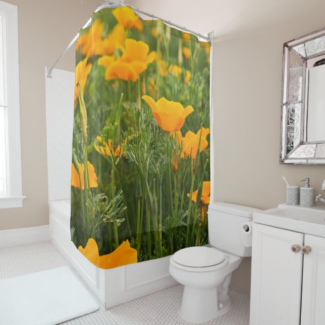 California Poppy Patch Photograph (In Situ)