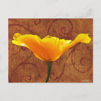 California Poppy Postcard
