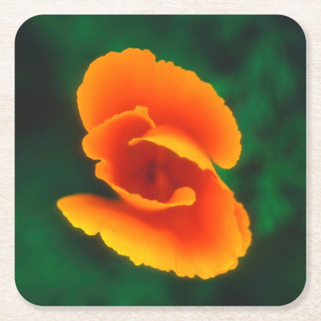 California Poppy Square Paper Coaster (Front)