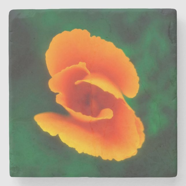 California Poppy Stone Coaster (Front)