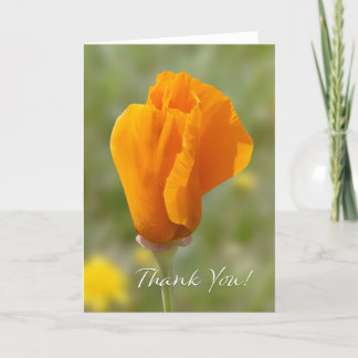 California Poppy Thank You Card