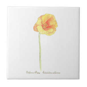 California Poppy Tile