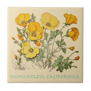 California Poppy Tile