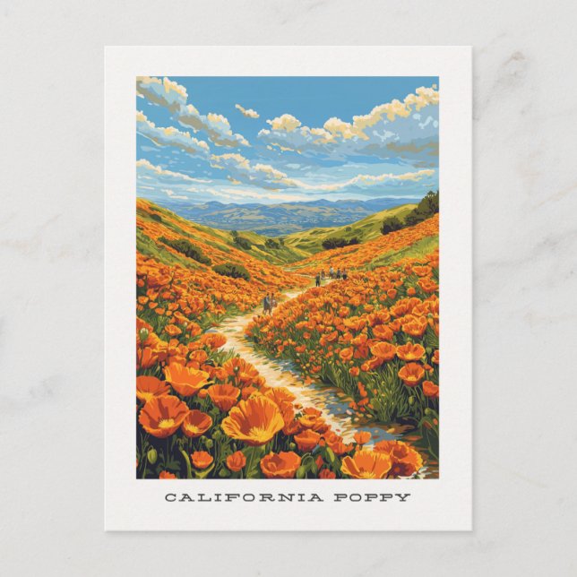 California Poppy US Travel Postcard (Front)