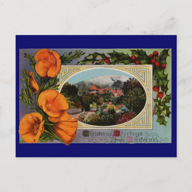 California Poppy Vintage Christmas Holiday Postcard (Front)