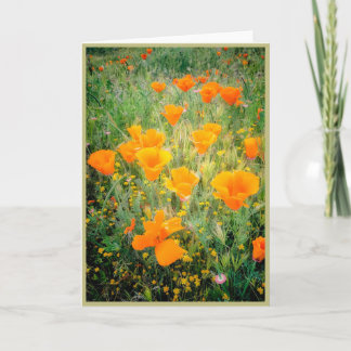 California Poppy's Card
