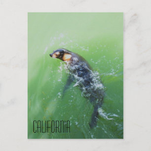 California Postcard