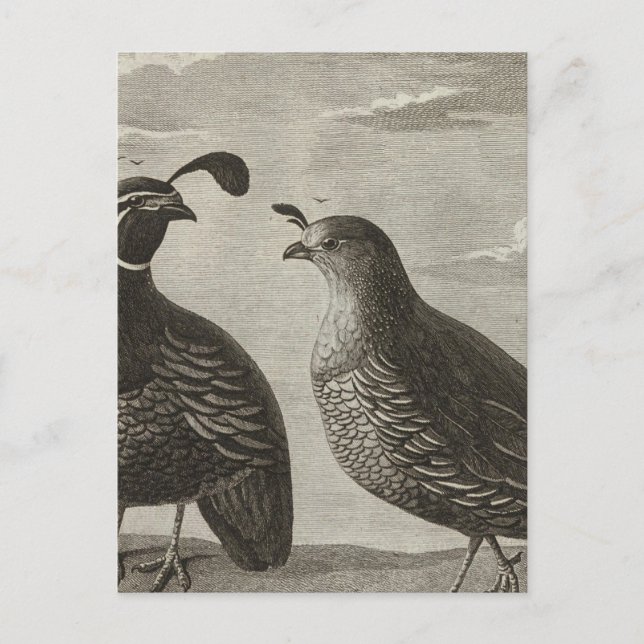 California Postcard (Front)