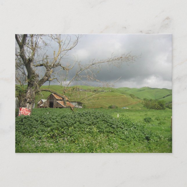 California Postcard - Gilroy, California (Front)