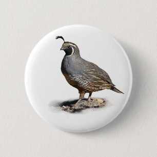 CALIFORNIA QUAIL 2 INCH ROUND BUTTON