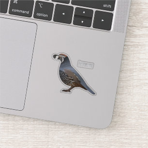 California quail bird cartoon illustration