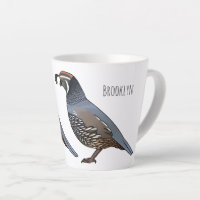 California quail bird cartoon illustration  