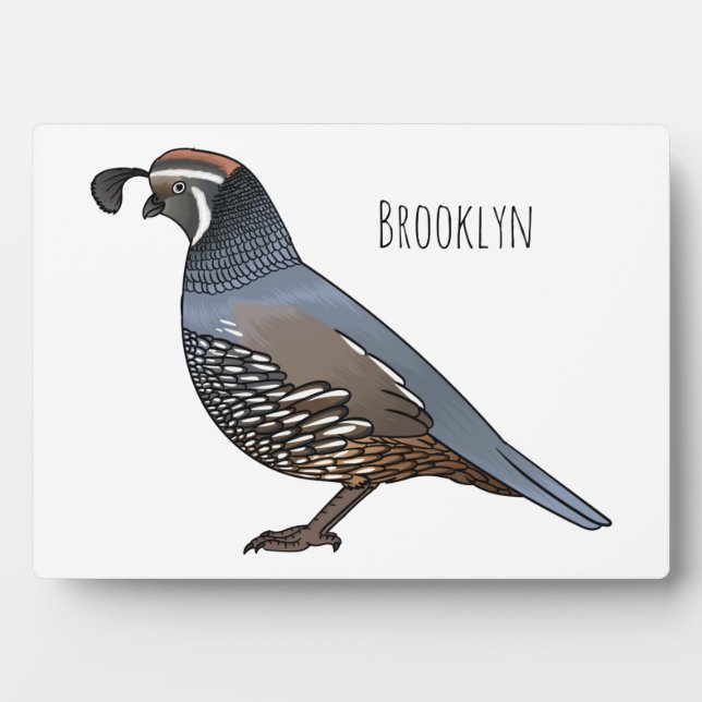 California quail bird cartoon illustration plaque (Front)