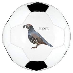 California quail bird cartoon illustration soccer ball
