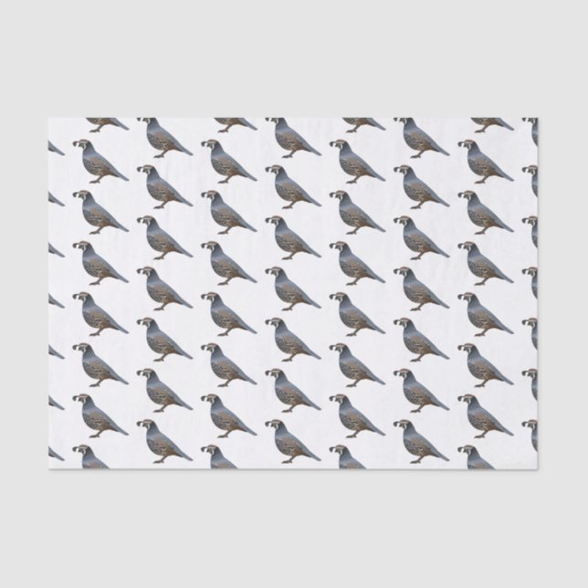 California quail bird cartoon illustration tissue paper (Front)
