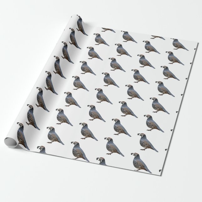 California quail bird cartoon illustration   wrapping paper (Unrolled)