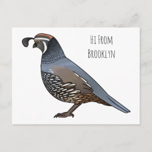 California quail bird cartoon postcard