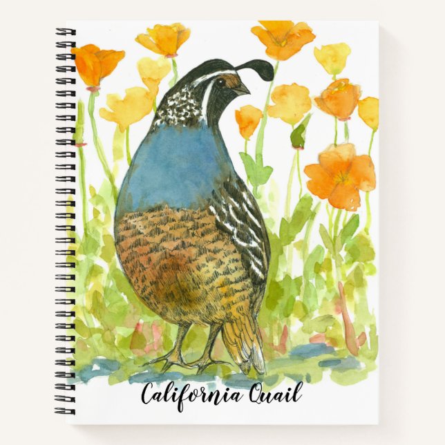 California Quail Bird Poppies Journal aquarelle (Devant)