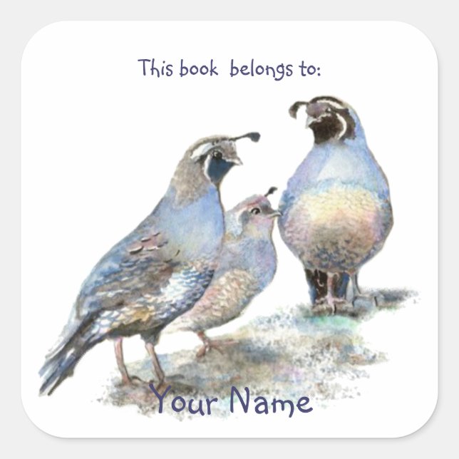 California Quail Birds This book belongs Bookplate Square Sticker (Front)