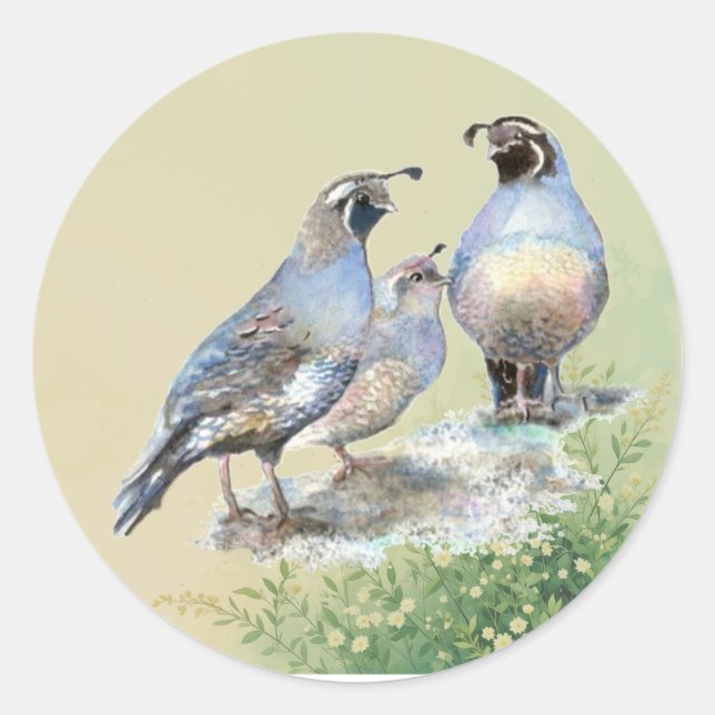 California Quail Birds Watercolor Art  Classic Round Sticker (Front)