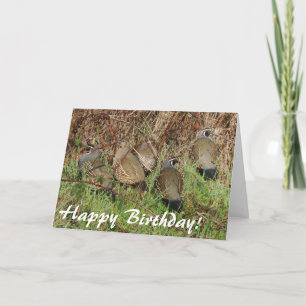 California Quail Birthday Card