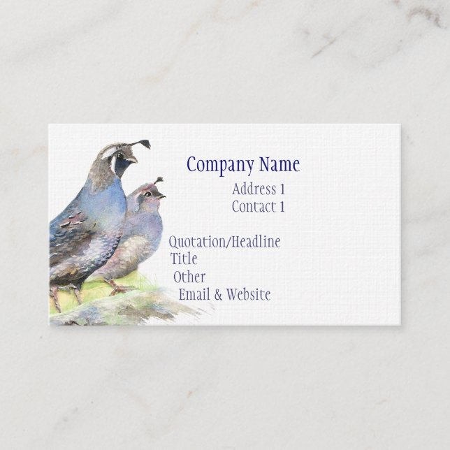 California Quail Carte de visite Bird Nature (Devant)