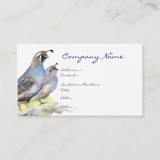 California Quail Carte de visite Bird Nature (Devant)