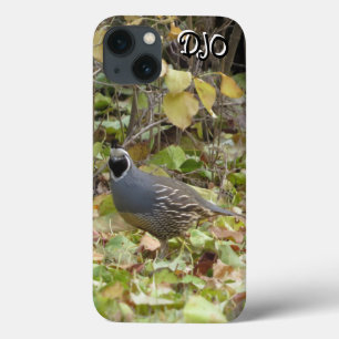 California Quail Case-Mate iPhone Case
