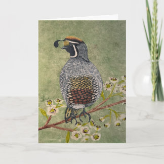 California Quail Folded Note Card