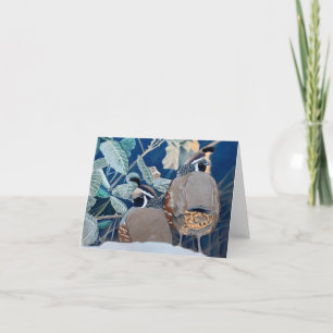 California Quail Greeting Card