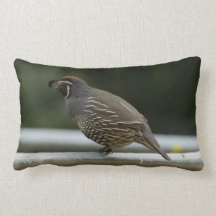 California Quail Lumbar Pillow