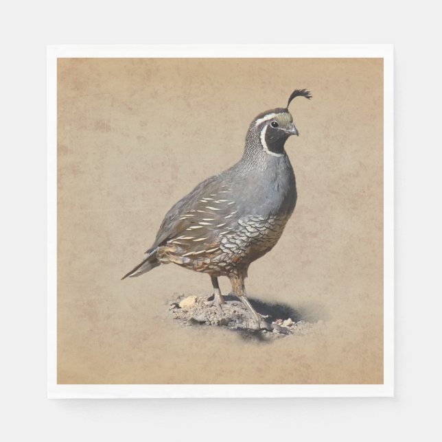 CALIFORNIA QUAIL NAPKIN (Front)