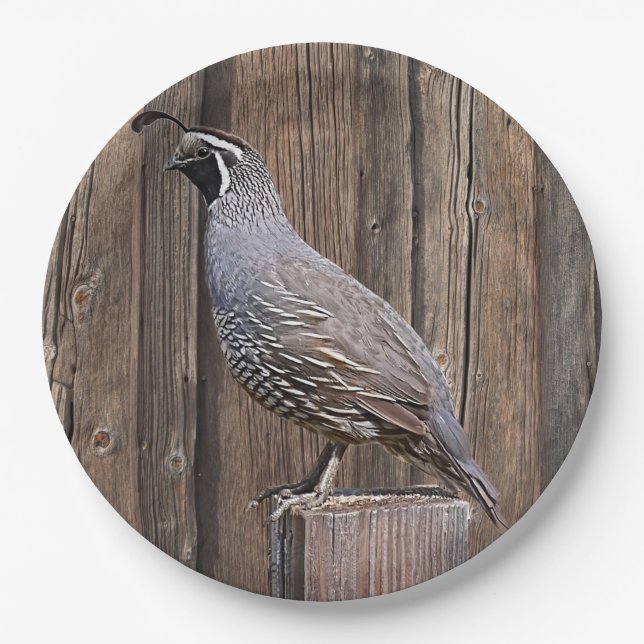 CALIFORNIA QUAIL ON BARNBOARD PAPER PLATE (Front)