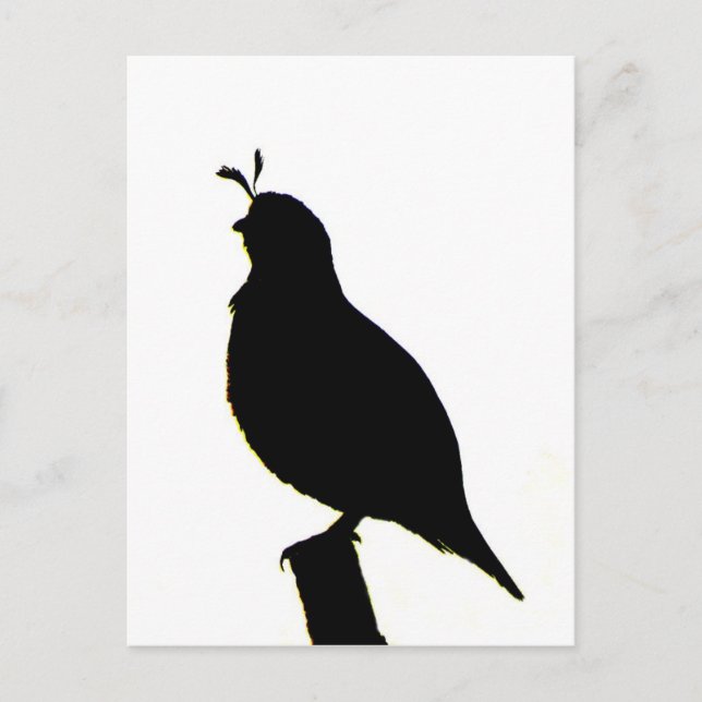 California Quail silhouette Postcard (Front)