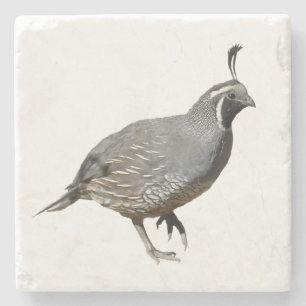 CALIFORNIA QUAIL STONE COASTER