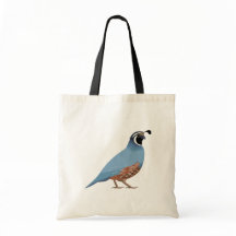 California Quail