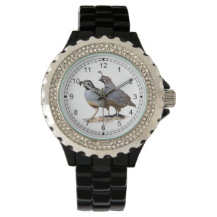 CALIFORNIA QUAIL WATCH