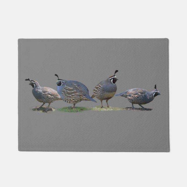 CALIFORNIA QUAILS DOORMAT (Front)