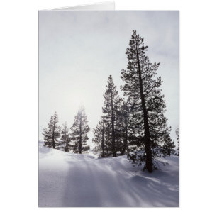California, Rancho Cuyamaca State Park
