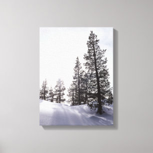California, Rancho Cuyamaca State Park Canvas Print