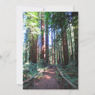 California Redwood Trail Design Save The Date