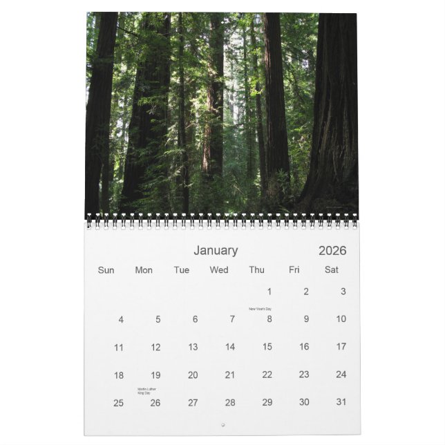 California Redwoods 2012 calendar (Jan 2026)