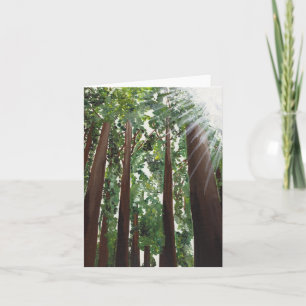 "California Redwoods" Card from Canvas Justice